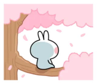 😞 lapin, fleurs de cerisier, mignon, kawaii, arbre, printemps, seul, contemplatif telegram sticker
