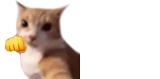 👊 cat, punch, animal, meme, emoji, orange cat telegram sticker