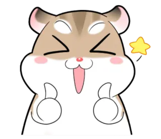 👍 hamster, emoji, schattig, blij, duim omhoog, ster telegram sticker