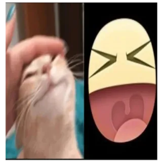 😫 猫, 可爱, 宠物, 动物, 快乐, 表情包 telegram sticker