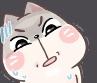 😓 Katze, Cartoon, wütend, schwitzend, süß, Tier, Aufkleber whatsapp sticker