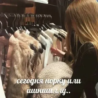 🌟 сегодня норку или шиншиллу.. ช้อปปิ้ง, เสื้อผ้า, ผู้หญิง, ขนสัตว์, แฟชั่น telegram sticker