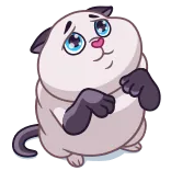 🥺 mèo, mèo con, dễ thương, đáng yêu, thú cưng, động vật whatsapp sticker