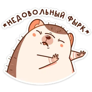🤮 НЕДОВОЛЬНЫЙ ФЫРК hedgehog, cartoon, cute, animal, sticker telegram sticker