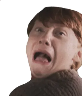😨 Ron Weasley Harry Potter 怖い, ロン・ウィーズリー, ハリー・ポッター, 表情, ジンジャー telegram sticker