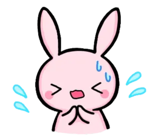 😓 lapin, mignon, suppliant, gouttes de sueur, implorant whatsapp sticker