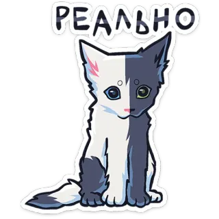 ⭐ РЕАЛЬНО cat, kitten, cute, animal, sticker, russian telegram sticker