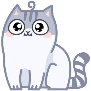😕 gato, gatinho, fofo, animal, cinza telegram sticker