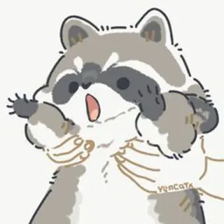 😡 raccoon, cute, animal, funny telegram sticker