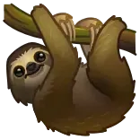 🦥