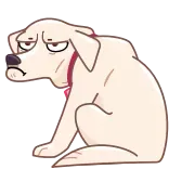 😠 cachorro, triste, animal, animal de estimação, desenho animado, cansado whatsapp sticker