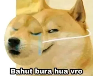 🤔 Bahut bura hua vro ドージ, 犬, 悲しい, 泣く, ミーム telegram sticker