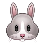 🐰