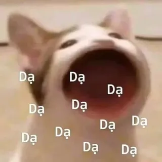 🤪 Dạ Dạ Dạ Dạ Dạ Dạ Dạ Dạ Dạ кот, мем, вьетнамский, Popcat, милый, смешной telegram sticker