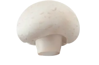 🍄 comida, hongo, hongo, planta telegram sticker