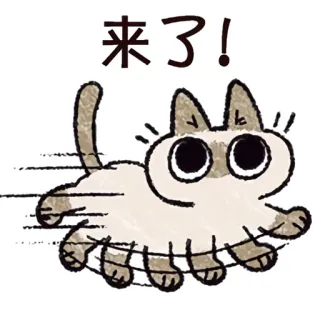 🏃 来了! cat, cartoon, running, animal, cute, animated, greeting telegram sticker