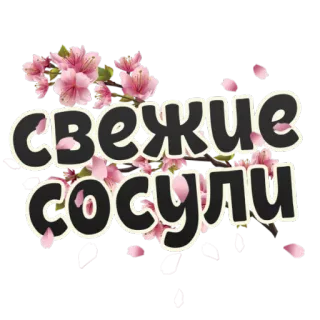 Весна @StikeryTG telegram stickers