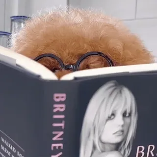 🤓 Britney Spears BRITNEY Britney Spears, Promi, Buch, Lesen, Porträt telegram sticker