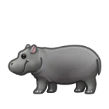 🦛