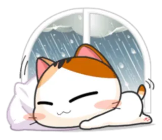 🛌 cat, cute, kawaii, sleepy, rain, window telegram sticker