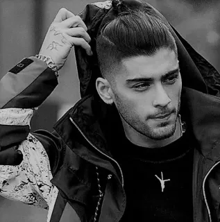 🚶 Zayn Malik zayn malik, singer, celebrity, man bun telegram sticker
