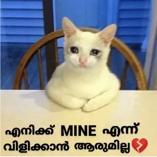 😂 എനിക്ക് MINE എന്ന് വിളിക്കാനാരുംഇല്ല💔 kat, verdrietig, meme, schattig, dier telegram sticker