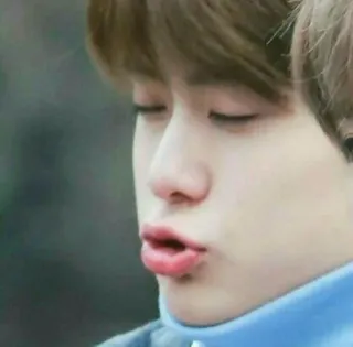 🦥 whatsapp sticker