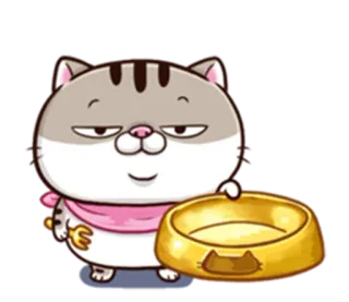 🍴 Katze, niedlich, Tier, Haustier, Fressnapf whatsapp sticker