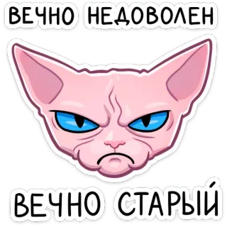 ☹️ ВЕЧНО НЕДОВОЛЕН
ВЕЧНО СТАРЫЙ кот, сфинкс, злой, ворчливый, недовольный, старый telegram sticker