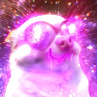 🤩 dog, meme, funny, purple, eyes, glowing telegram sticker