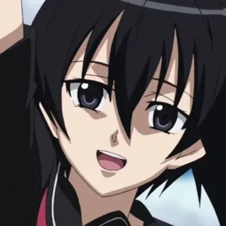 😀 Akame Akame ga Kill! anime, akame, czarne włosy, fioletowe oczy, dziewczyna, warkoczyki telegram sticker