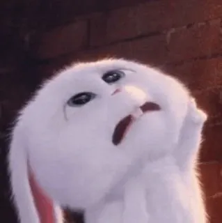 🐰 Snowball The Secret Life of Pets Hase, Kaninchen, süß, animiert, traurig, Film, Figur telegram sticker