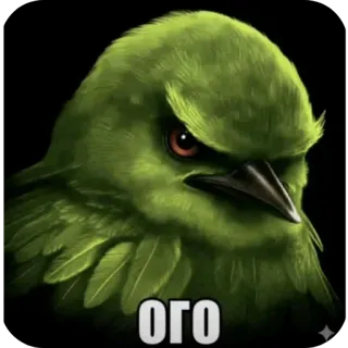 🐦‍⬛️ ОГО bird, green, angry, surprised, wow, animal, sticker telegram sticker