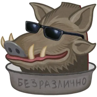 💩 БЕЗРАЗЛИЧНО everzwijn, dier, zonnebril, onverschillig, onverstoorbaar telegram sticker