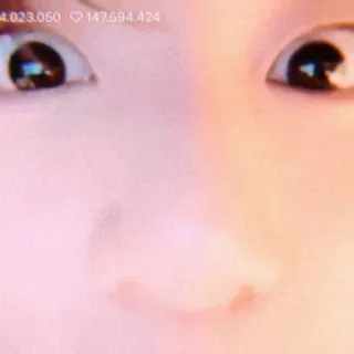 🐰 whatsapp sticker