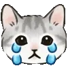 😭