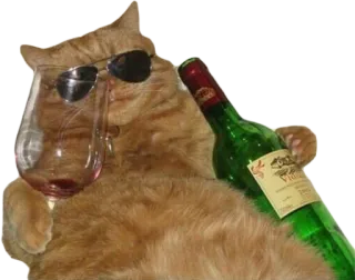 😎 cat, sunglasses, wine, drinking, humor, animal telegram sticker