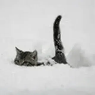❄️