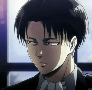 🤫 Levi Ackerman Attack on Titan anime, levi, attack on titan, aot, manga, character, soldier telegram sticker