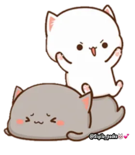 🤪 @Sigilo_packs gato, gatos, pegatina, animales, lindo telegram sticker