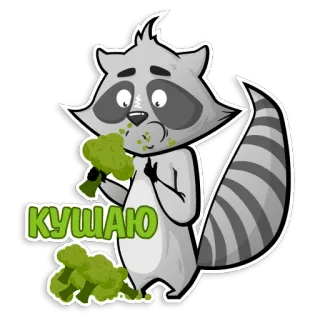 🍔 КУШАЮ guaxinim, brócolis, comendo, fofo, animal, comida telegram sticker
