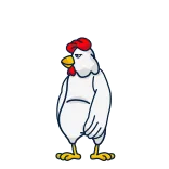 🐔 poulet, oiseau, animal, ferme, dessin animé whatsapp sticker