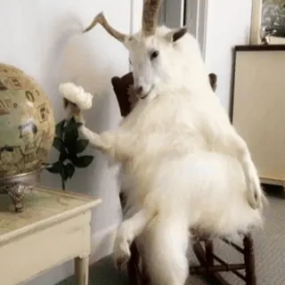 😏 cabra, taxidermia, silla, rosa, globo, animal, divertido whatsapp sticker