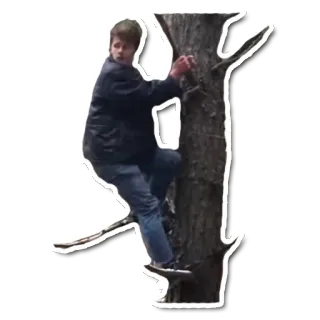 🌳 человек, лазание, дерево, на улице telegram sticker