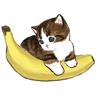 🍌 gato, gatito, plátano, lindo, animal, mascota, kawaii whatsapp sticker