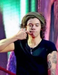 😐 Harry Styles singer, musician, celebrity, pop star telegram sticker