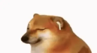 🎧 pies, Cheems, AirPods, mem, zwierzę, śmieszne, mem internetowy telegram sticker