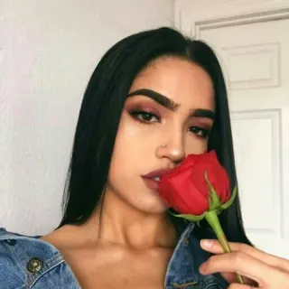 🌹 mulher, rosa, retrato, beleza, menina, flor, modelo telegram sticker