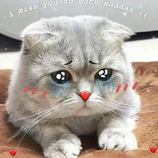 Kawaii_Kawaii @IMG2D whatsapp stickers