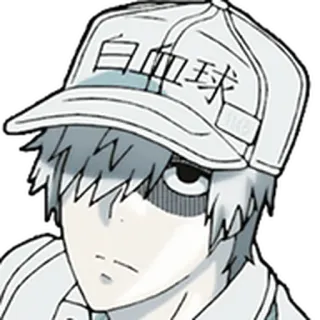 🩸 白血球 Animé, Les Brigades Immunitaires, Chapeau, Personnage, Globule Blanc telegram sticker